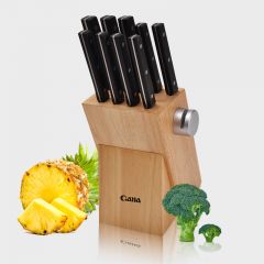 QANA Factory Wholesale OEM 10 pieces chef knife