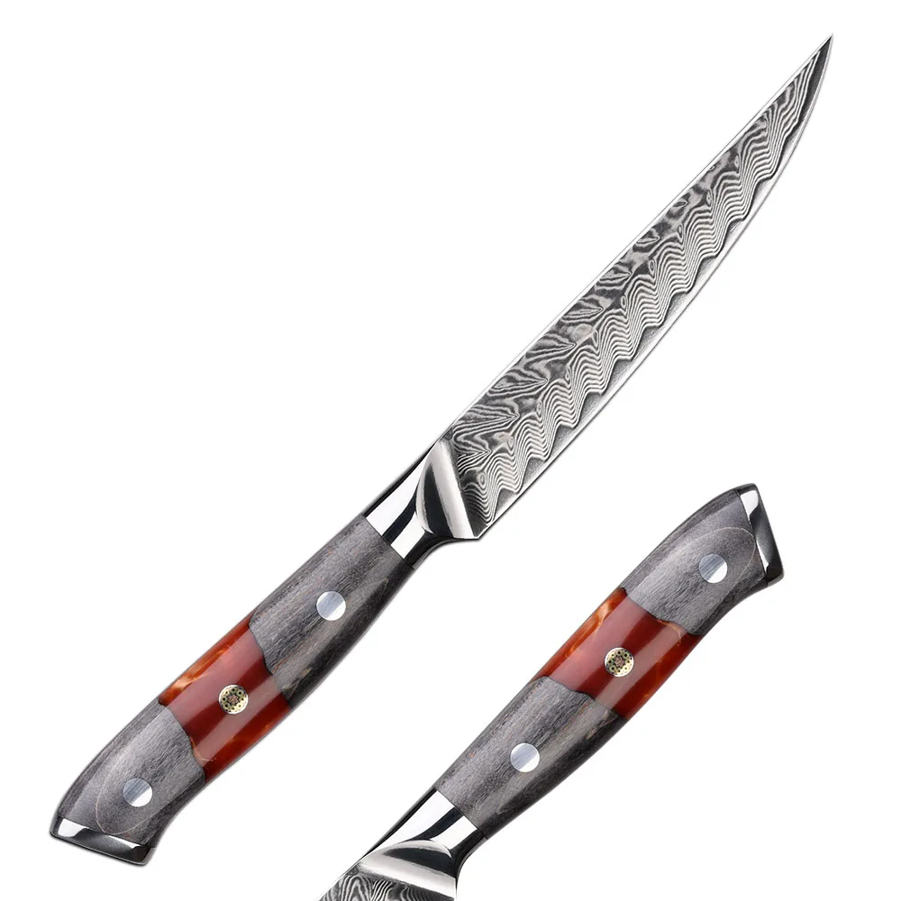 Resin Handle Ultra Sharp 5 Inch Damascus Steel Steak Knife